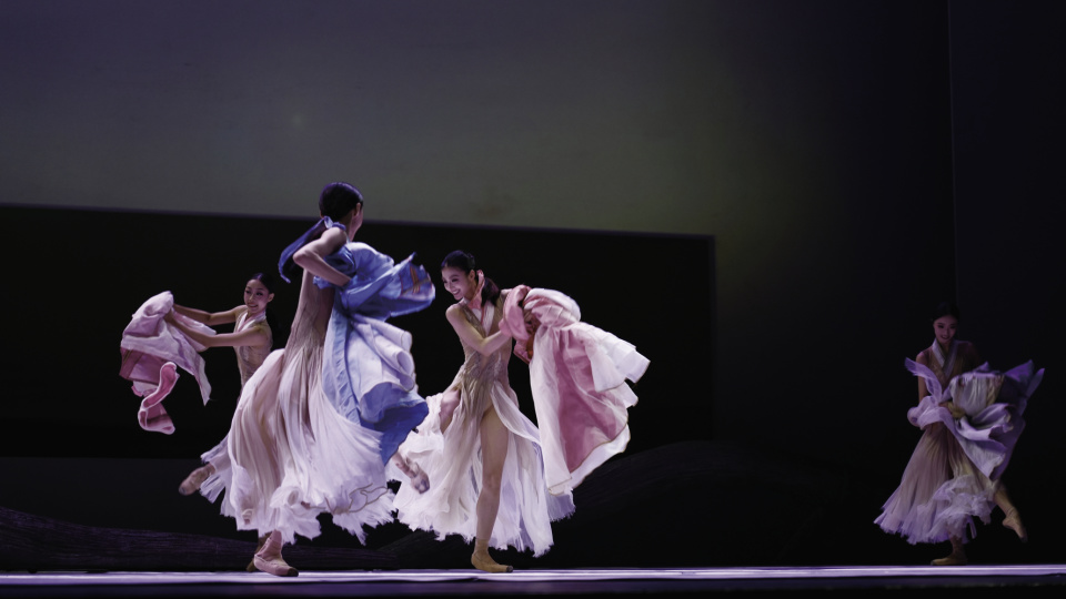 教育家, 原团长, 芭蕾舞蹈有