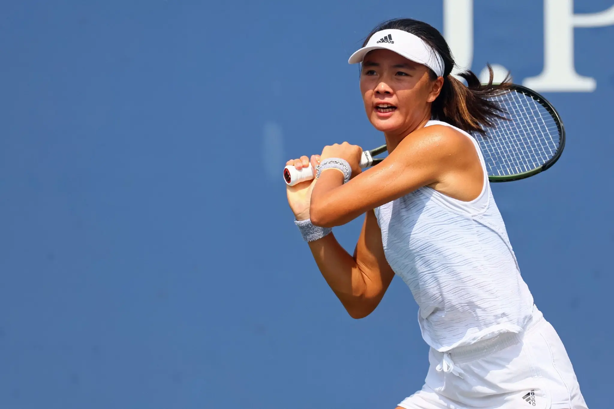 若遇施耐德, 然而