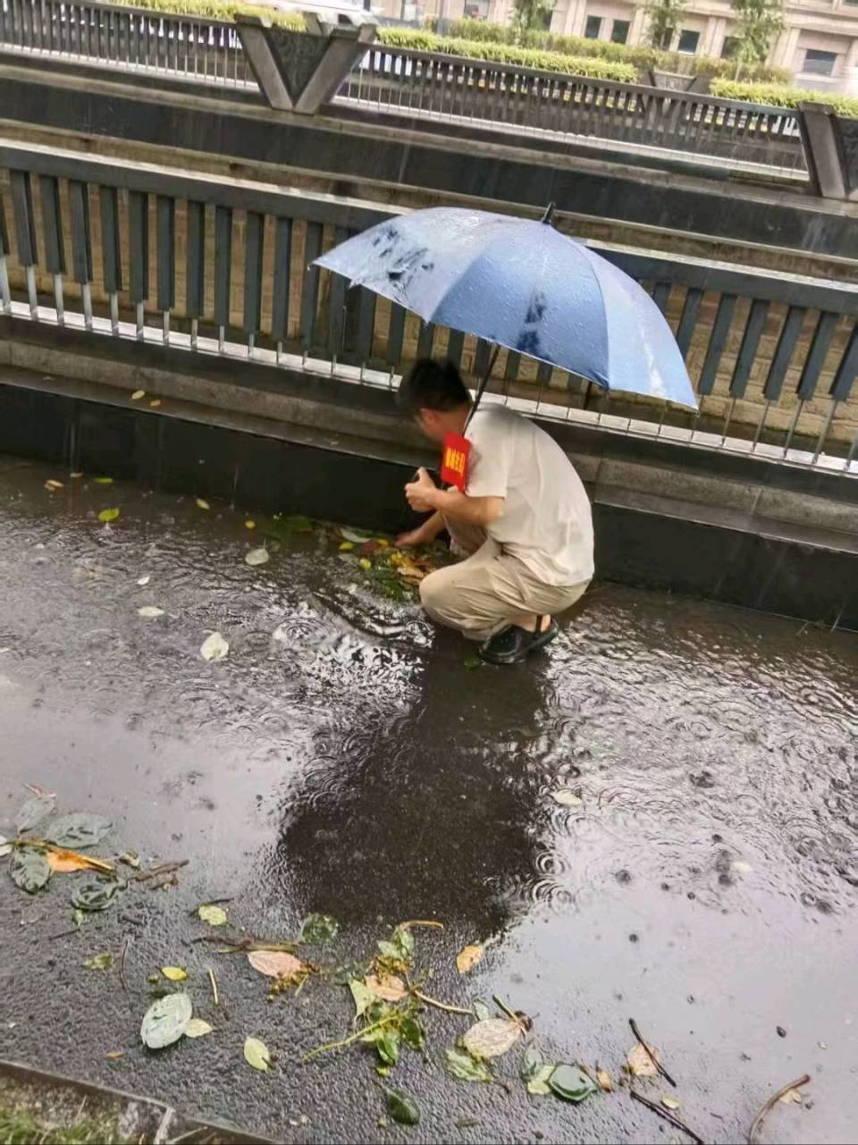 因共同的热 因共同的热