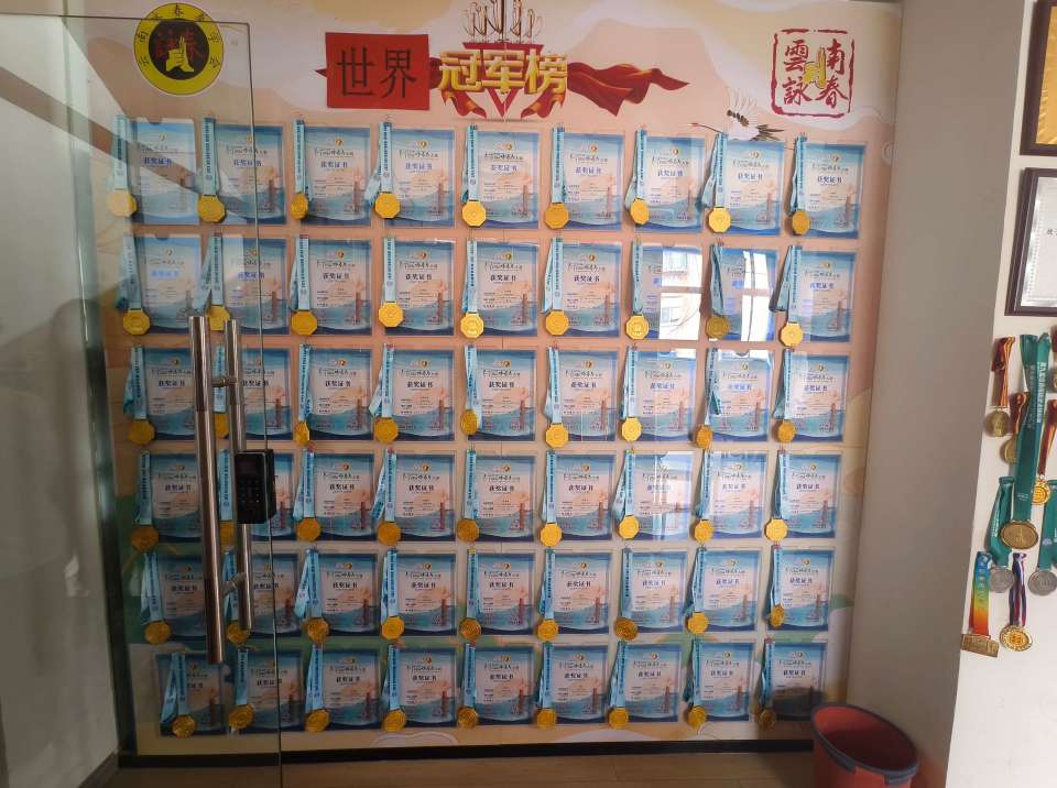 云南省武术, nAtYo