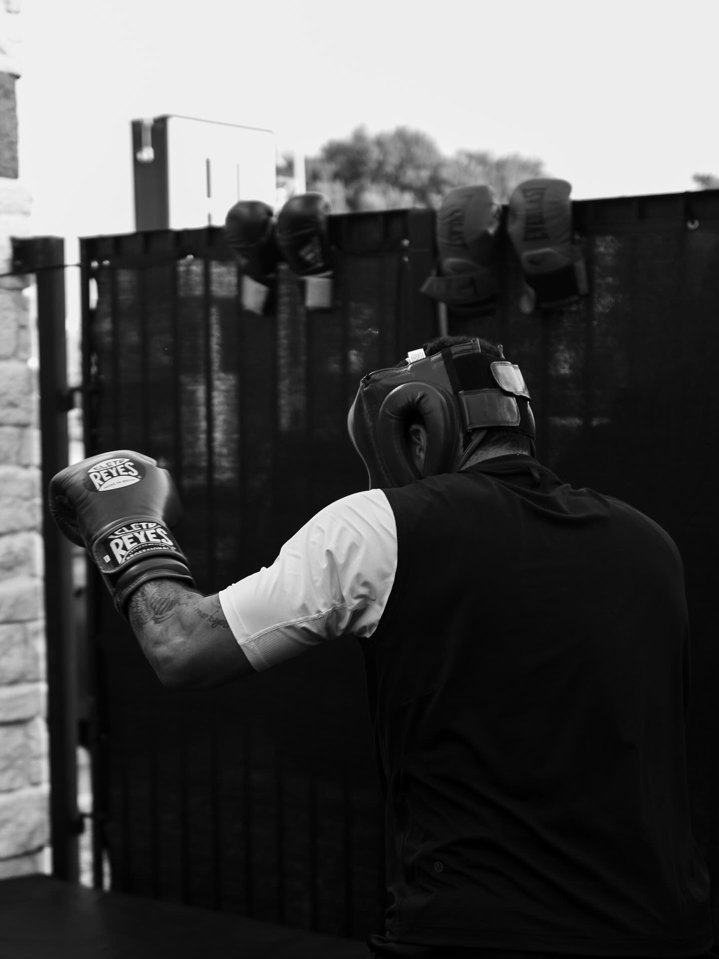 AA, 美好的夏天, 范弗利特更 AA, 美好的夏天, 范弗利特更