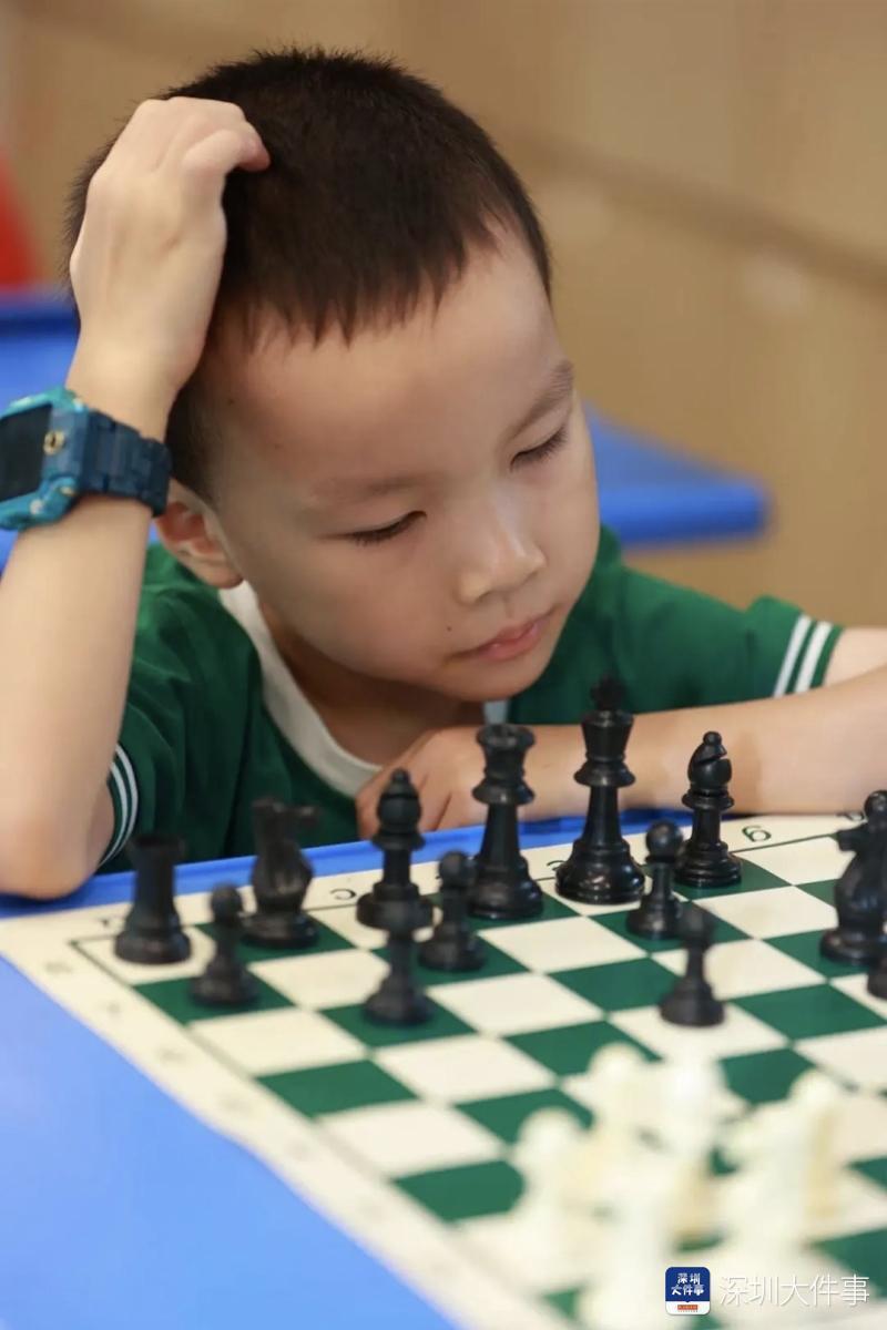 集团, 特色学校和